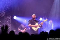 Francis Dunnery