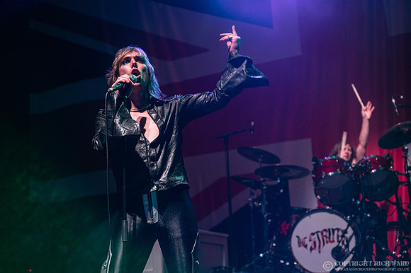 The Struts