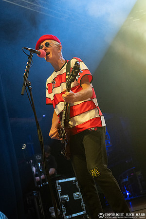The Damned