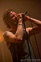 The Temperance Movement