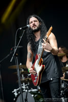 The Lazys