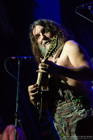 Hayseed Dixie