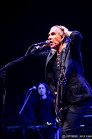 New Model Army