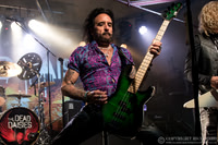 Dead Daisies