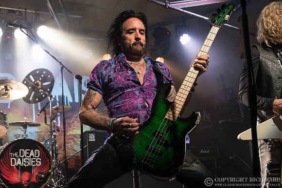 Dead Daisies