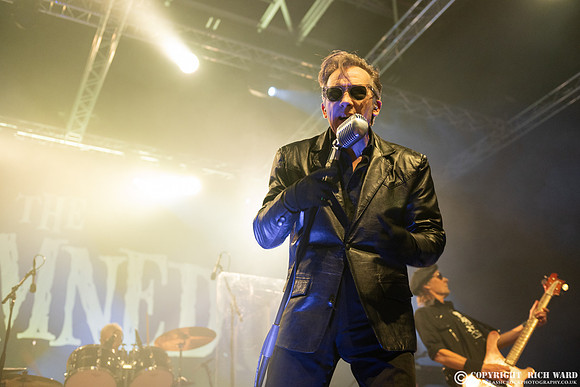 The Damned