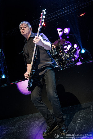 The Stranglers