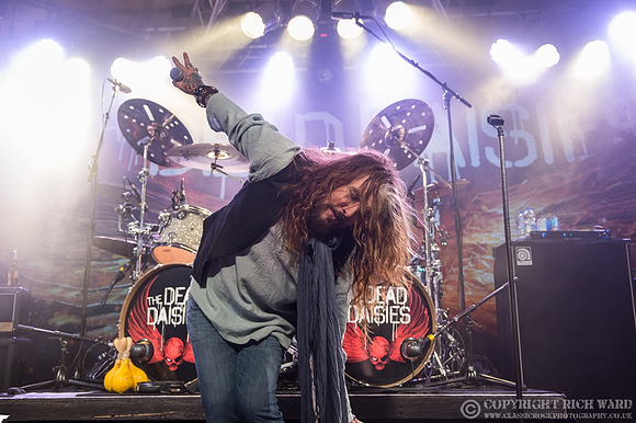 Dead Daisies
