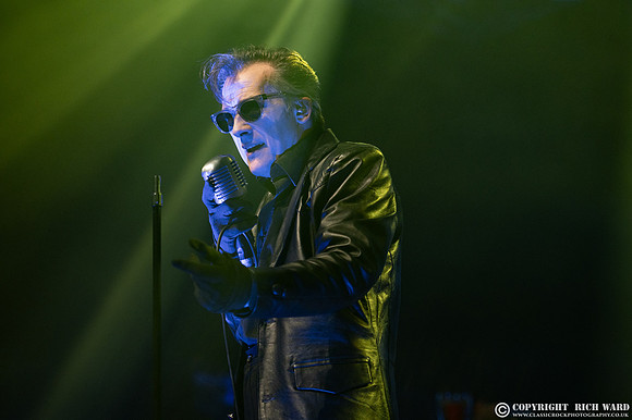 The Damned