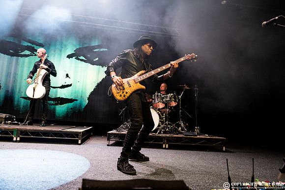 Tarja
