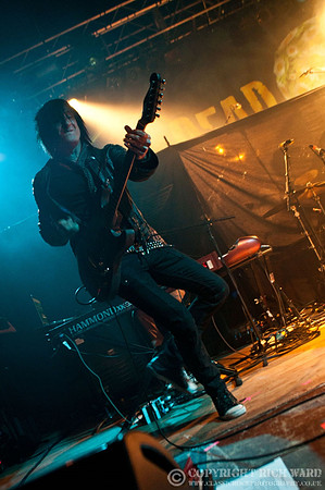 Dead Daisies
