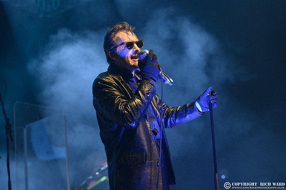 The Damned
