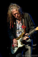 Bernie Torme