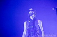 The Temperance Movement