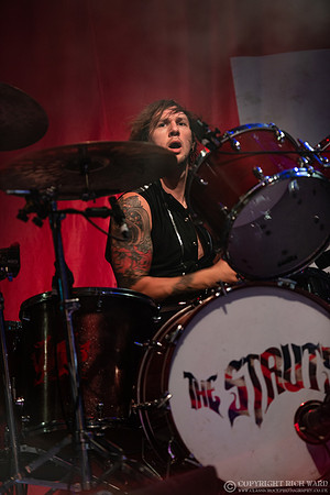 The Struts