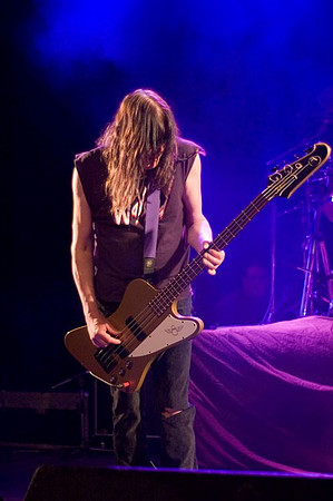 Waysted