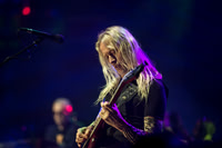Steve Hackett