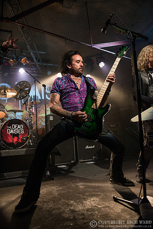 Dead Daisies