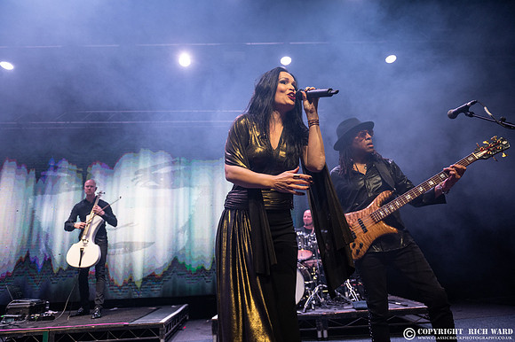 Tarja