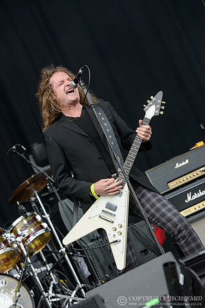 Wayward Sons