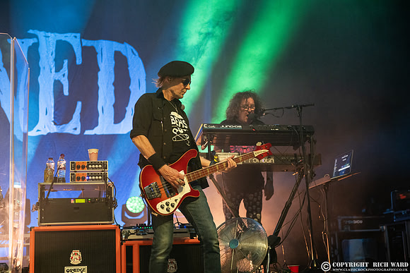The Damned