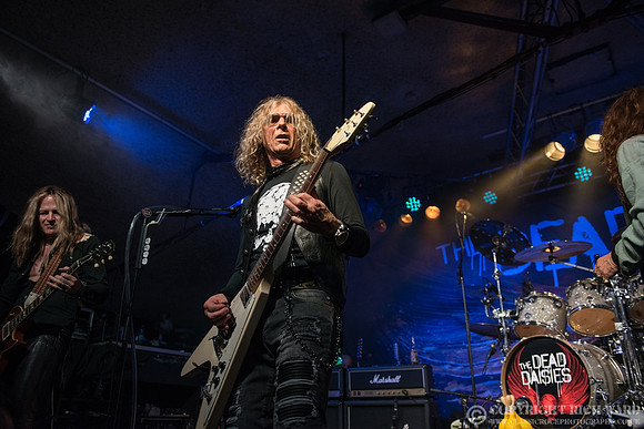Dead Daisies