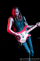 Kadaver