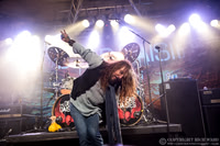 Dead Daisies
