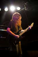 Budgie