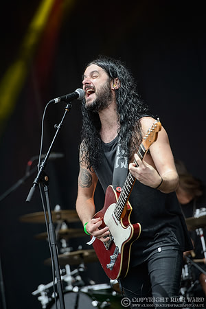 The Lazys