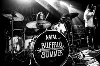 Buffalo Summer