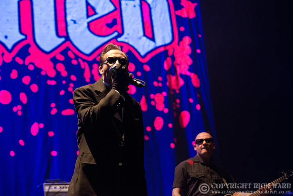 The Damned