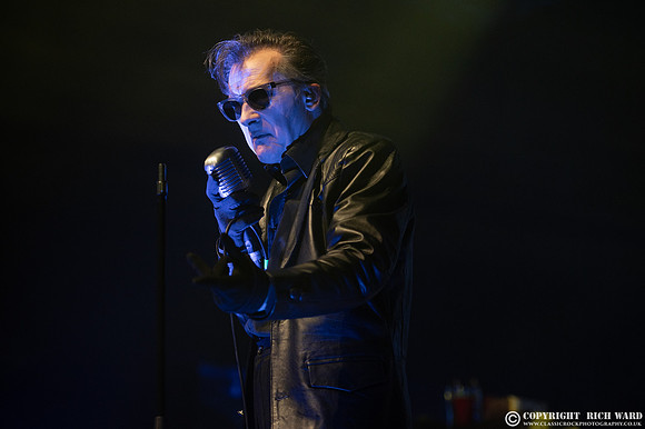 The Damned