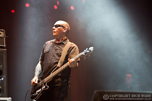 The Damned