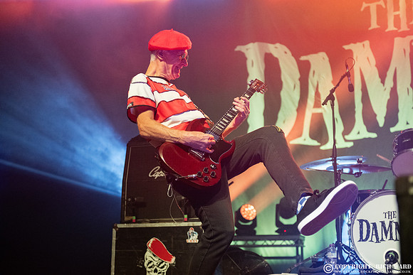 The Damned
