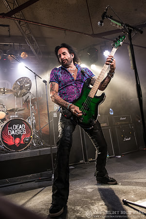 Dead Daisies