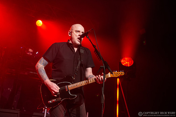 The Stranglers