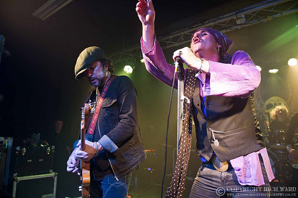 The Quireboys