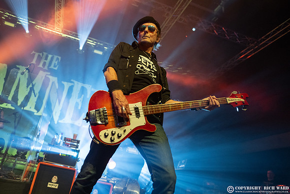 The Damned