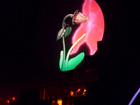 Roger Waters