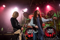 Dead Daisies