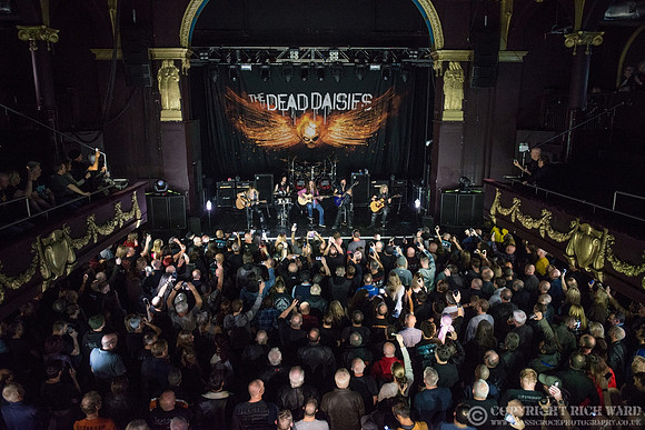 Dead Daisies