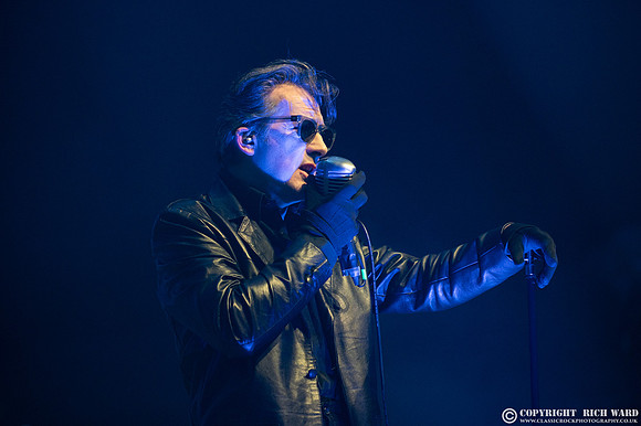 The Damned