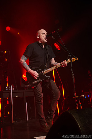 The Stranglers