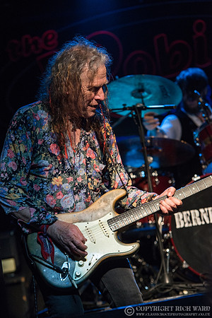 Bernie Torme
