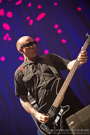 The Damned