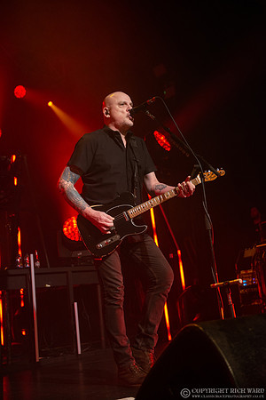 The Stranglers