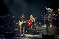 Steve Hackett