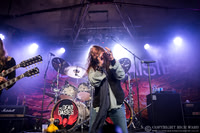 Dead Daisies