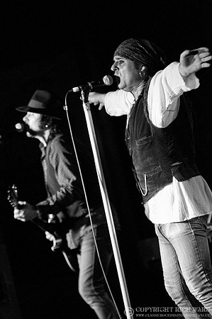 The Quireboys